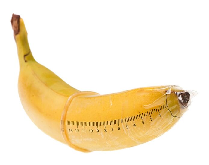 The optimal size of the erect penis is 10-16 cm