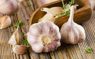 garlic is more useful