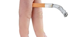 The effect of smoking reproductive system
