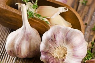 - Based tools, garlic